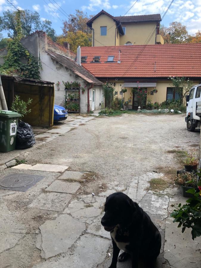 Central Apartment- Shumi'S Kaloşvar Dış mekan fotoğraf